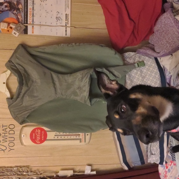 Boots & Barkley 2 Way Puffer Jacket XXL Dog Jacket Puffer Jacket New With Tags - Picture 6 of 17